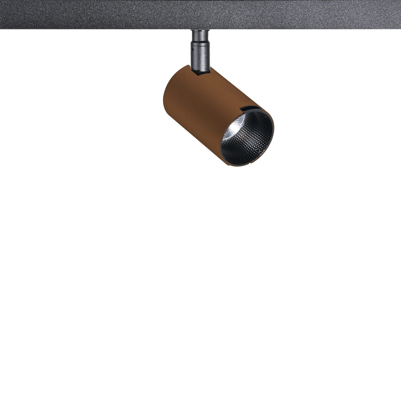 Spot 48 Revo Medium